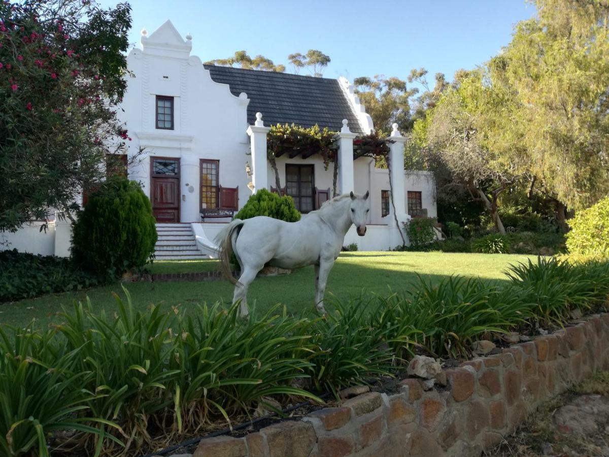 Mooiplaas Wine Estate Apartment Stellenbosch Exterior foto